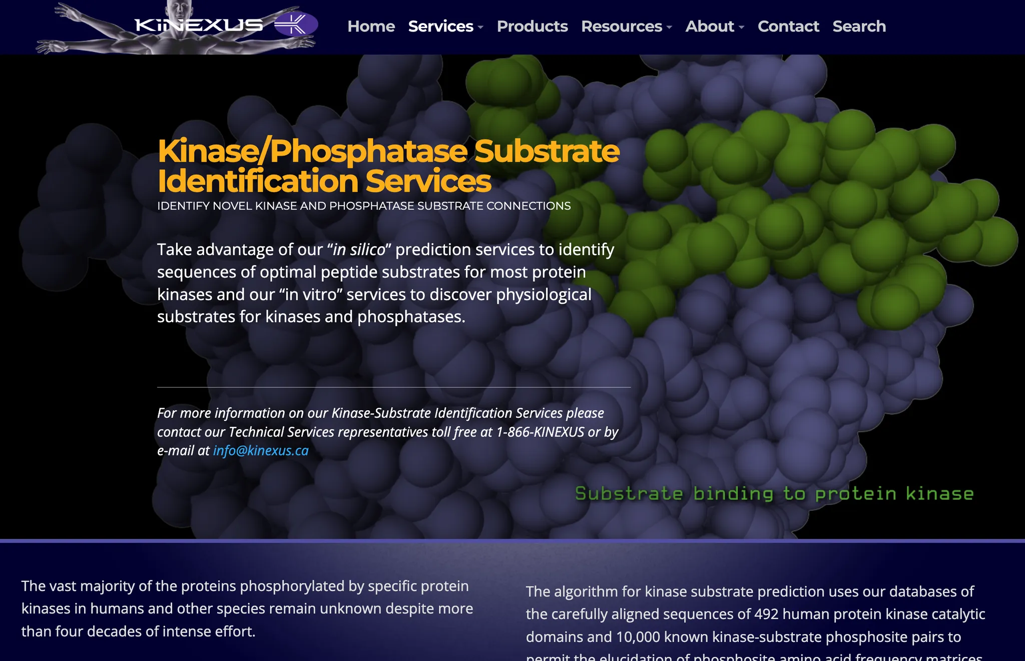 Kinexus Corporate Website Refactoring